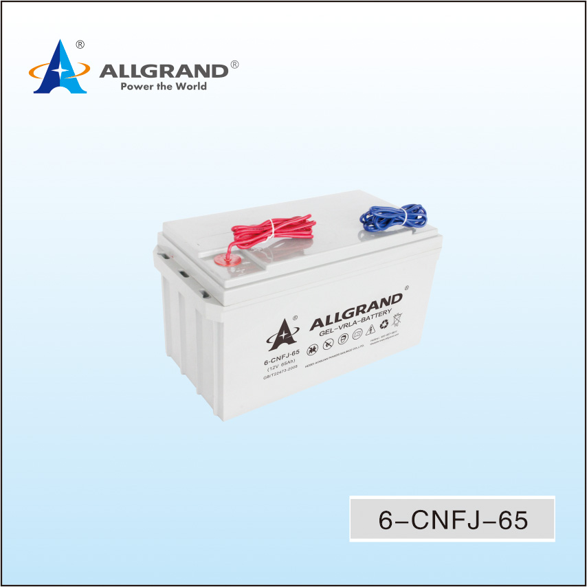 6-CNFJ-65