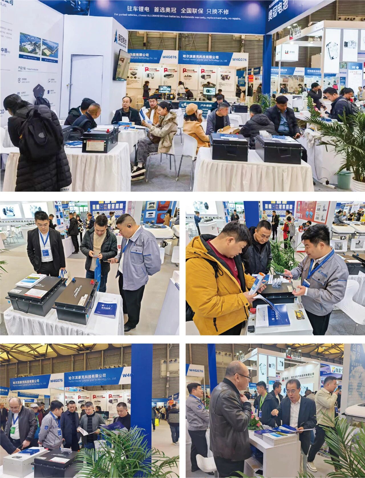 ALLGRAND5.jpg ALLGRAND5.jpg